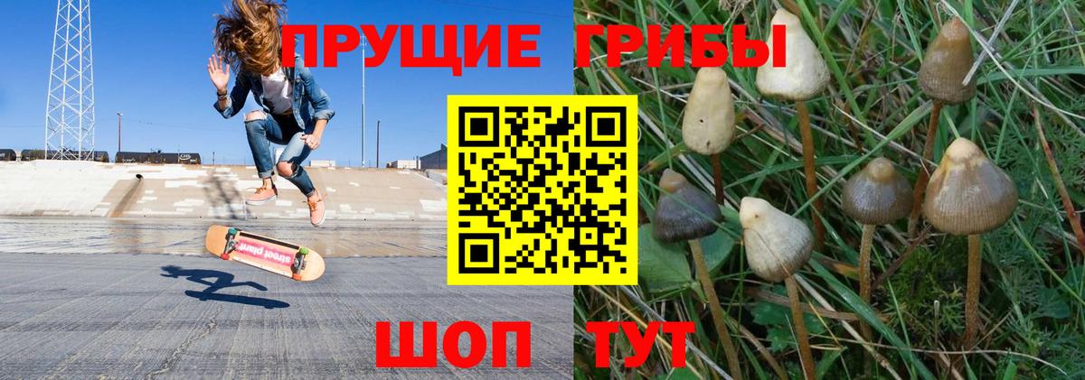 Галлюциногенные грибы прущие грибы  Вход с VPN  Зеленодольск 